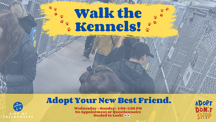 Walk the Kennels on Sundays through Wednesdays from 1:00 - 5:00pm